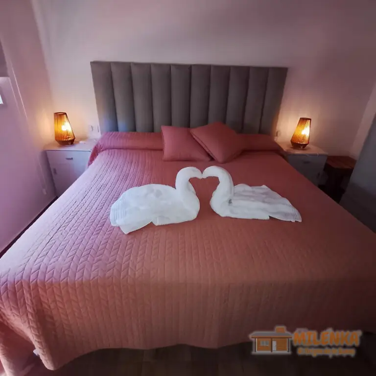 cabaña milenka habitacion 1